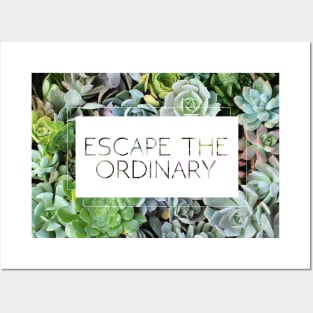 Escape the Ordinary Posters and Art